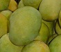 flickr5